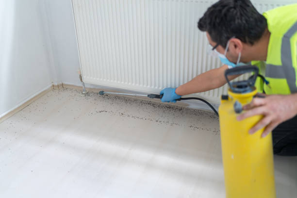 Best Affordable Pest Control Services  in Syracuse, NY